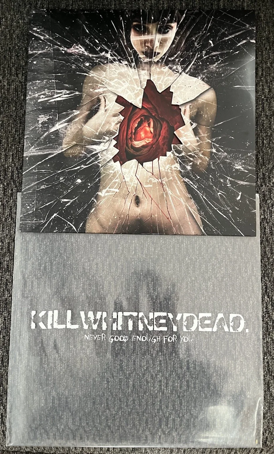 RARE KILLWHITNEYDEAD NEVER GOOD ENOUGH VINYL CD SIGNED SUFFER MY WRATH & MORE, image 5