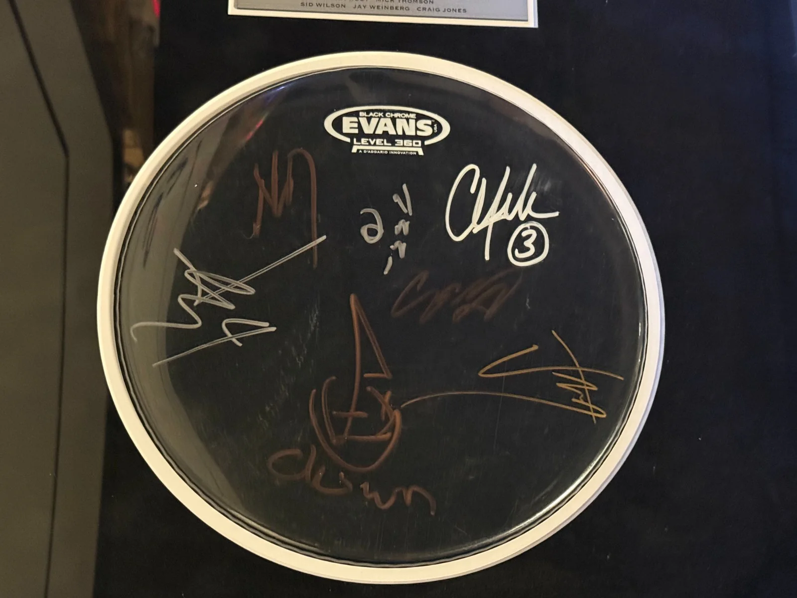 Slipknot Framed Drumhead Photo Display Signed By 8 JSA Full Letter LOA COA, image 5