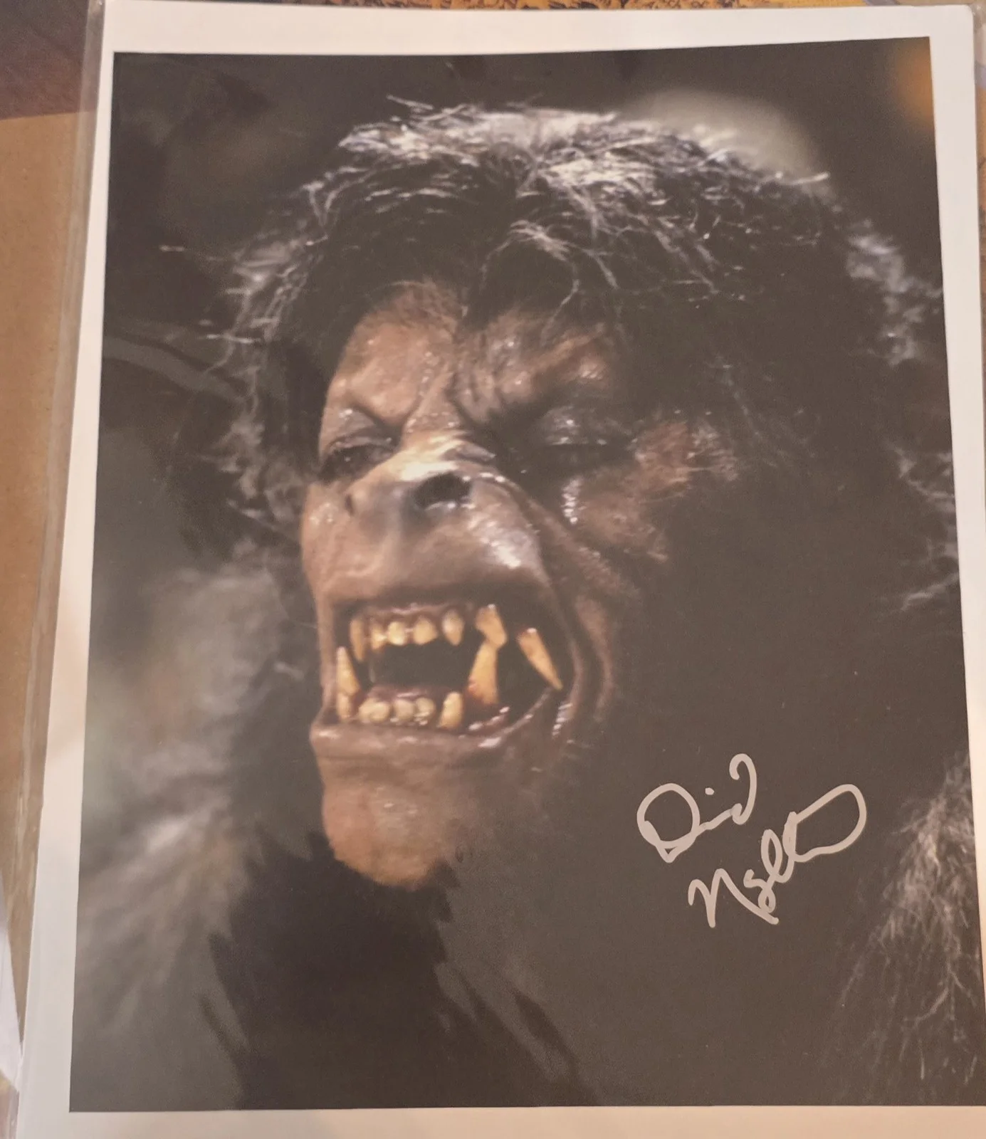 David Naughton — David Naughton An American Werewolf in London 8x10 Photo Signed JSA COA Auto