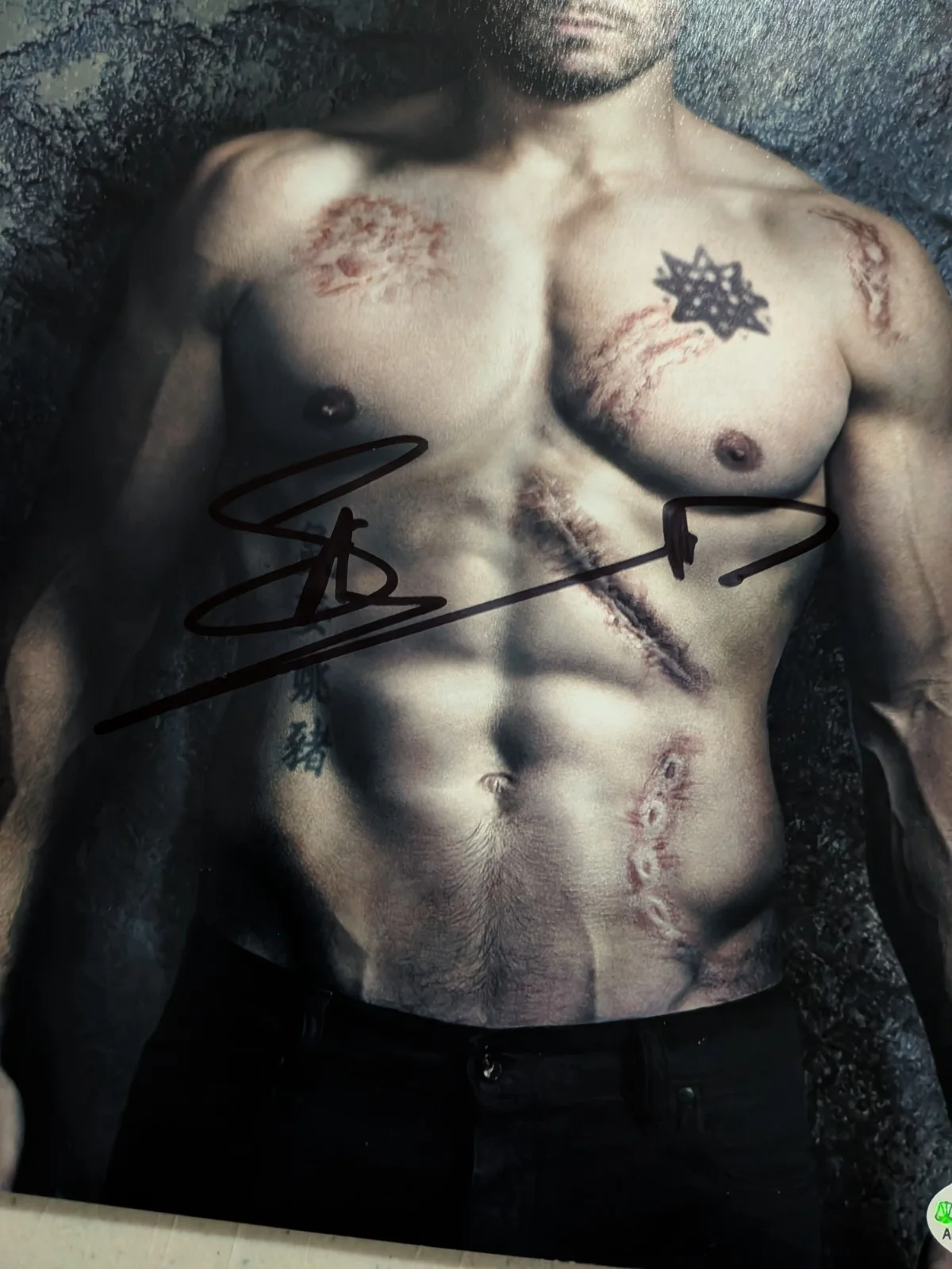 STEPHEN AMELL Signed 8x10 PHOTO DC Green Arrow TV Series JSA COA A, изображение 2