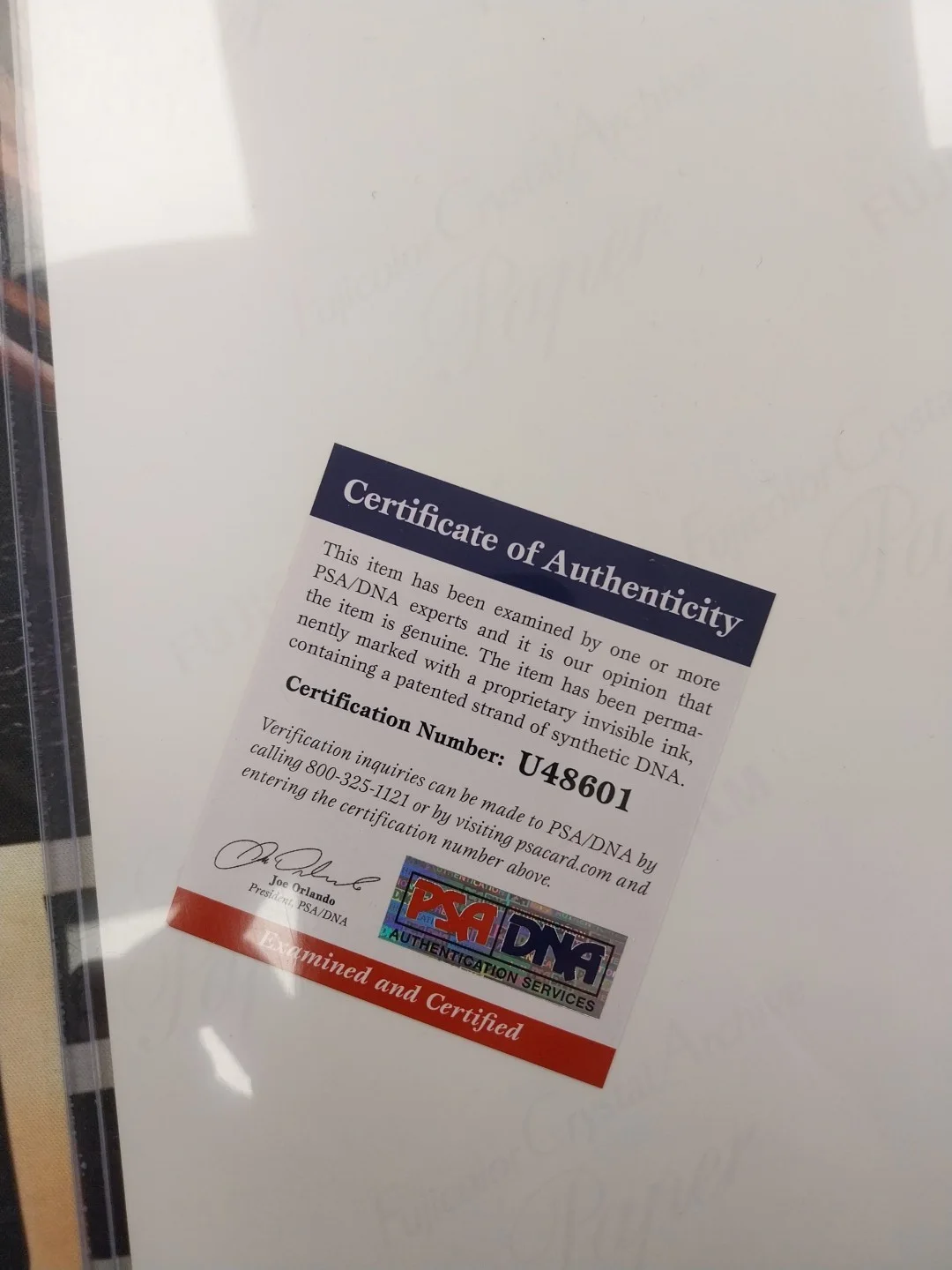 Johnny Galecki — PSA/DNA Authentic Johnny Galecki Signed 11"X14" Color Photo ~ Big Bang Theory, image 3