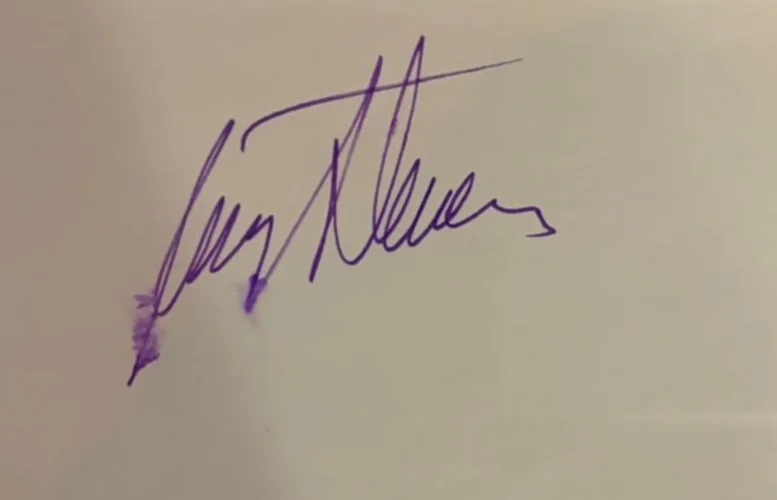 Ray Stevens — RAY STEVENS SIGNED AUTOGRAPH INDEX CARD ENCAPSULATED PSA EVERYTHING IS BEAUTIFUL, image 2