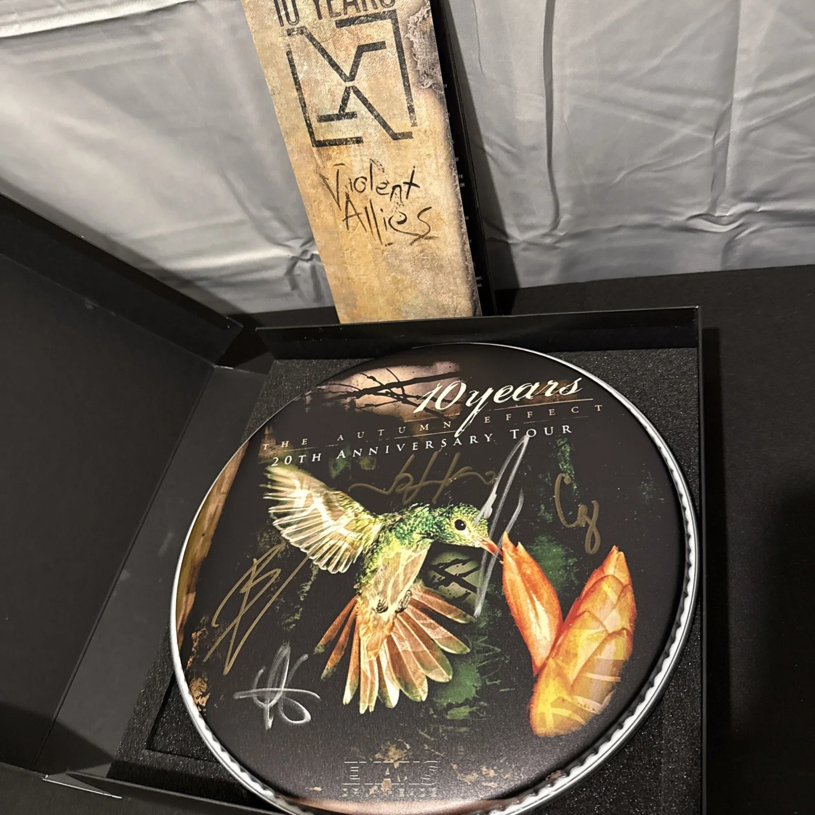 10 Years The Autumn Effect signed drumhead. J435, image 2