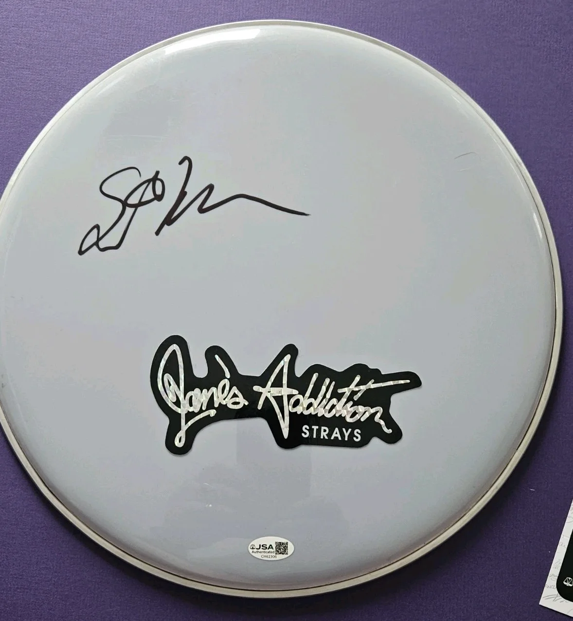 Stephen Perkins Signed 13" Drumhead! Jane's Addiction and Porno for Pyros JSA, image 2