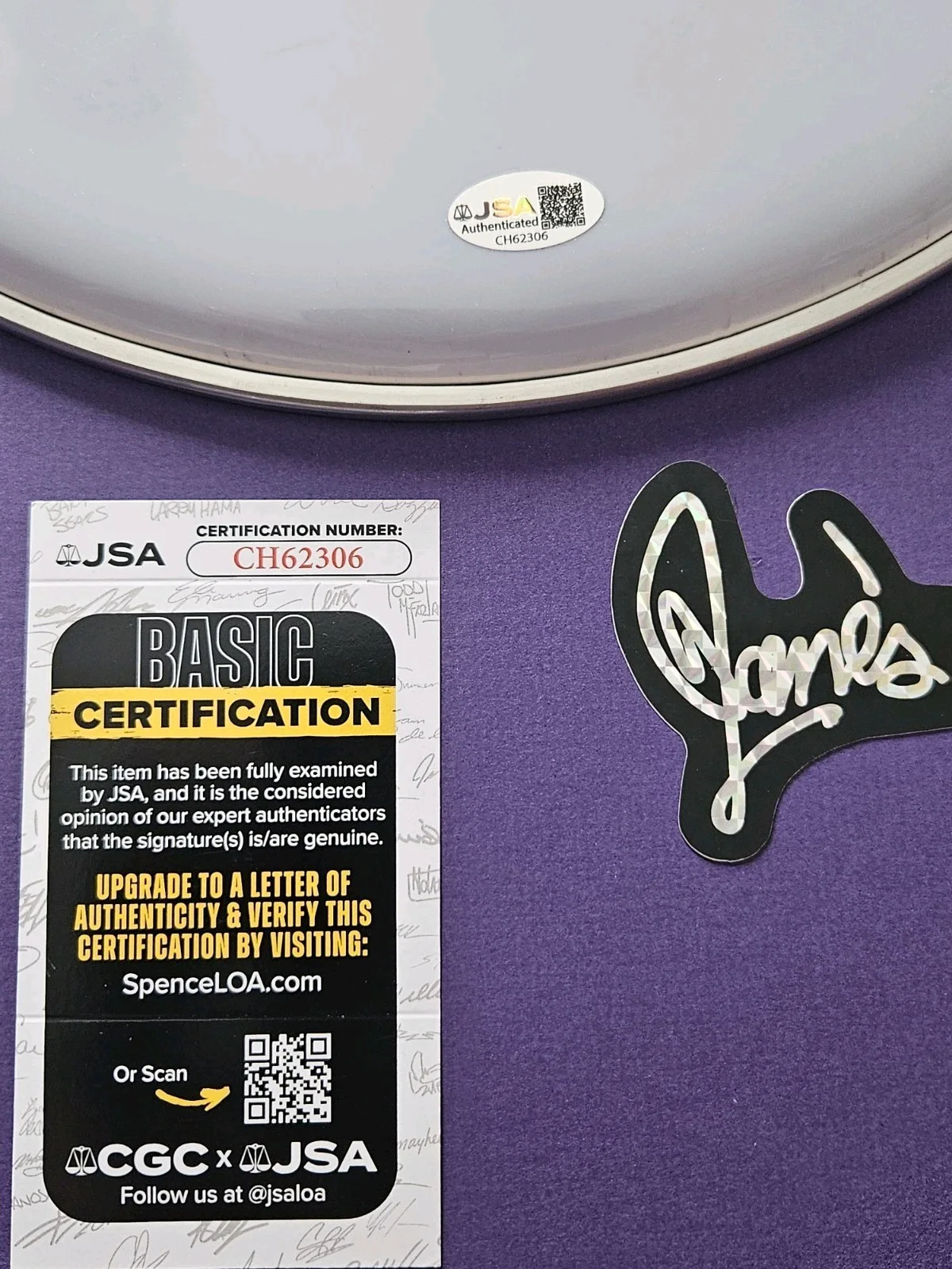 Stephen Perkins Signed 13" Drumhead! Jane's Addiction and Porno for Pyros JSA, image 3