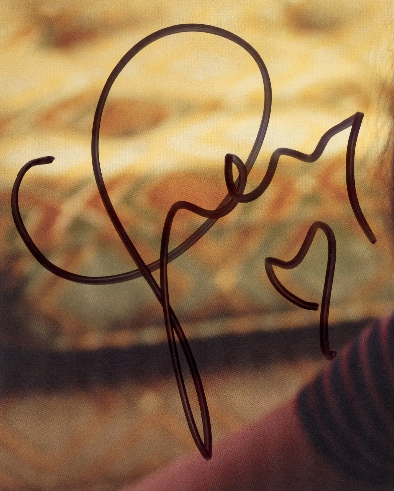 Taylor Swift Midnights MAHOGANY Signed with HEART Vinyl Photo Insert PSA COA!, изображение 2