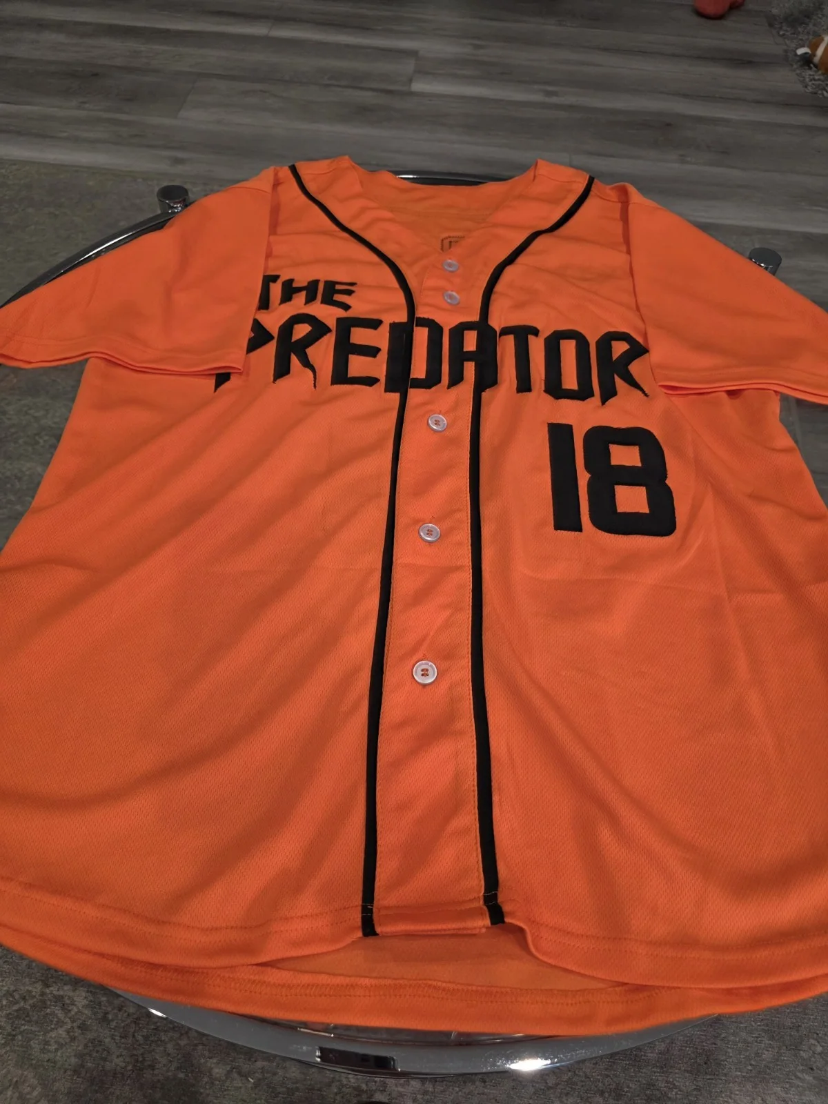 Brian Prince Jr — Brian Prince Jr Signed Autographed The Predator Custom Jersey Authenticated, image 4