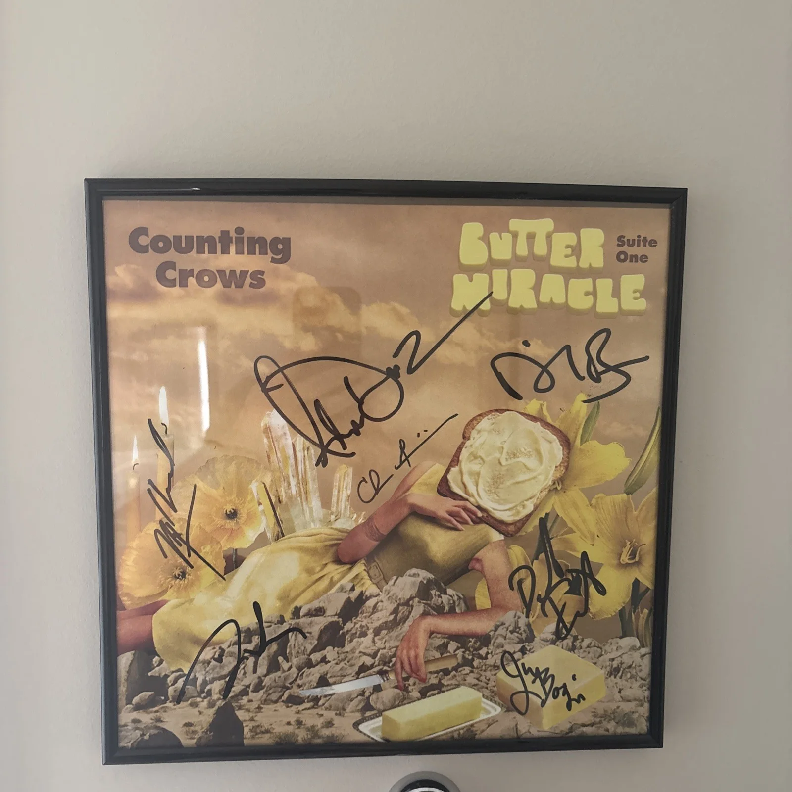 COUNTING CROWS FULL BAND SIGNED LP VINYL RECORD ALBUM ADAM DURITZ COA, image 2