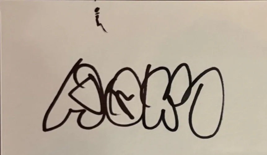 Steve Aoki — STEVE AOKI SIGNED AUTOGRAPHED INDEX CARD ENCAPSULATED PSA DJ WONDERLAND, изображение 2