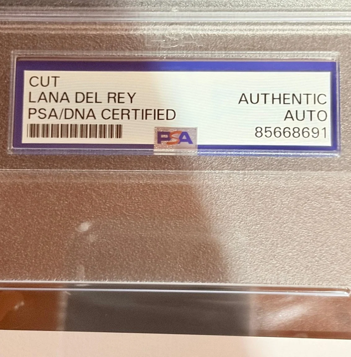Lana Del Rey — LANA DEL REY SIGNED CUT ENCAPSULATED PSA SUMMERTIME SADNESS WEST COAST G, изображение 3
