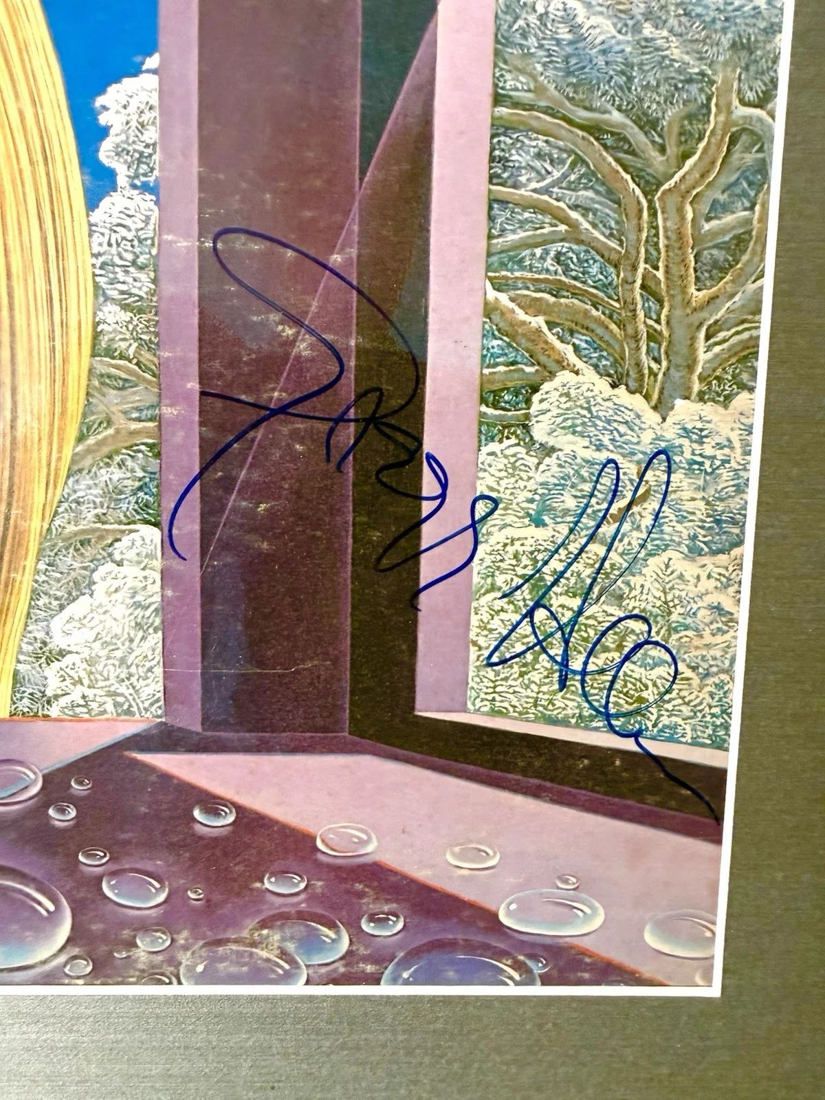 Gregg Allman Signed and Framed Laid Back Album And Photo, изображение 2