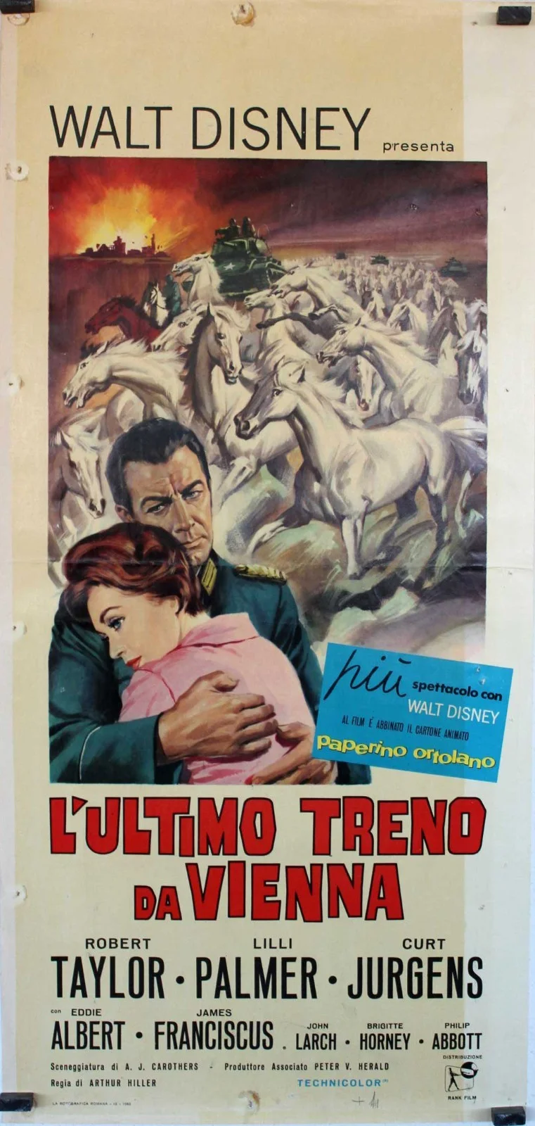 THE MIRACLE OF THE WHITE STALLIONS 1963 Disney Historical Rproduction Postcard, изображение 4