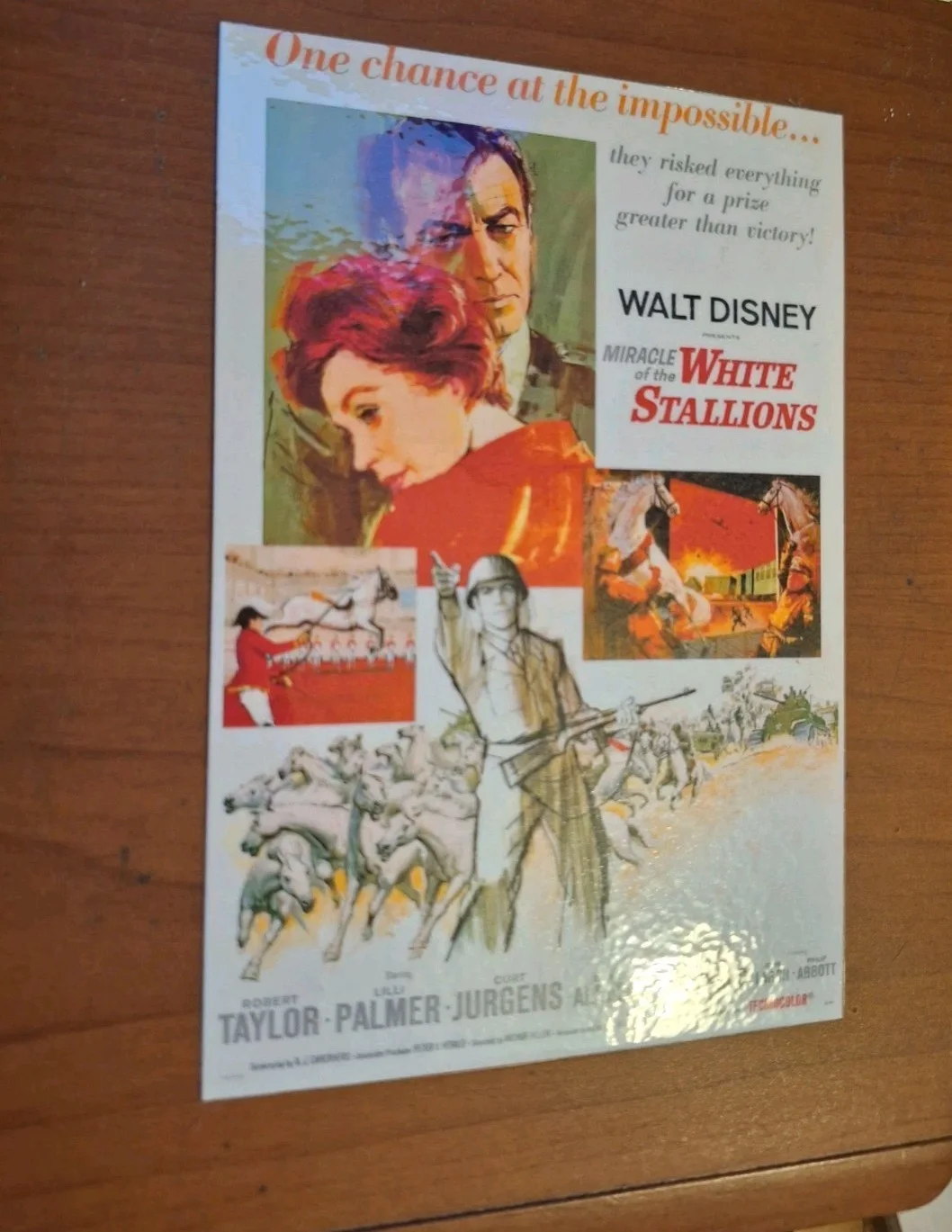 THE MIRACLE OF THE WHITE STALLIONS 1963 Disney Historical Rproduction Postcard, изображение 2