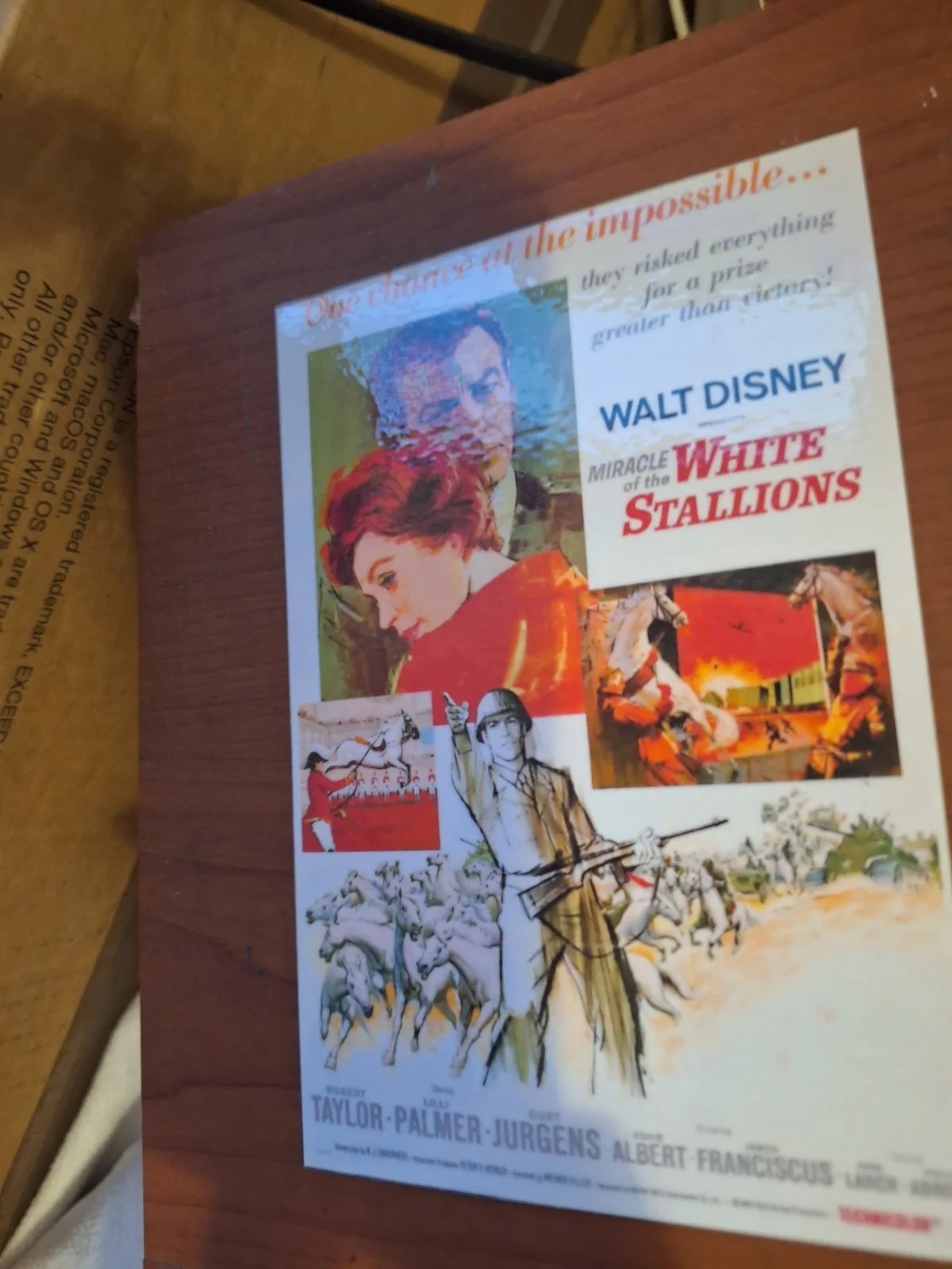 THE MIRACLE OF THE WHITE STALLIONS 1963 Disney Historical Rproduction Postcard, изображение 3
