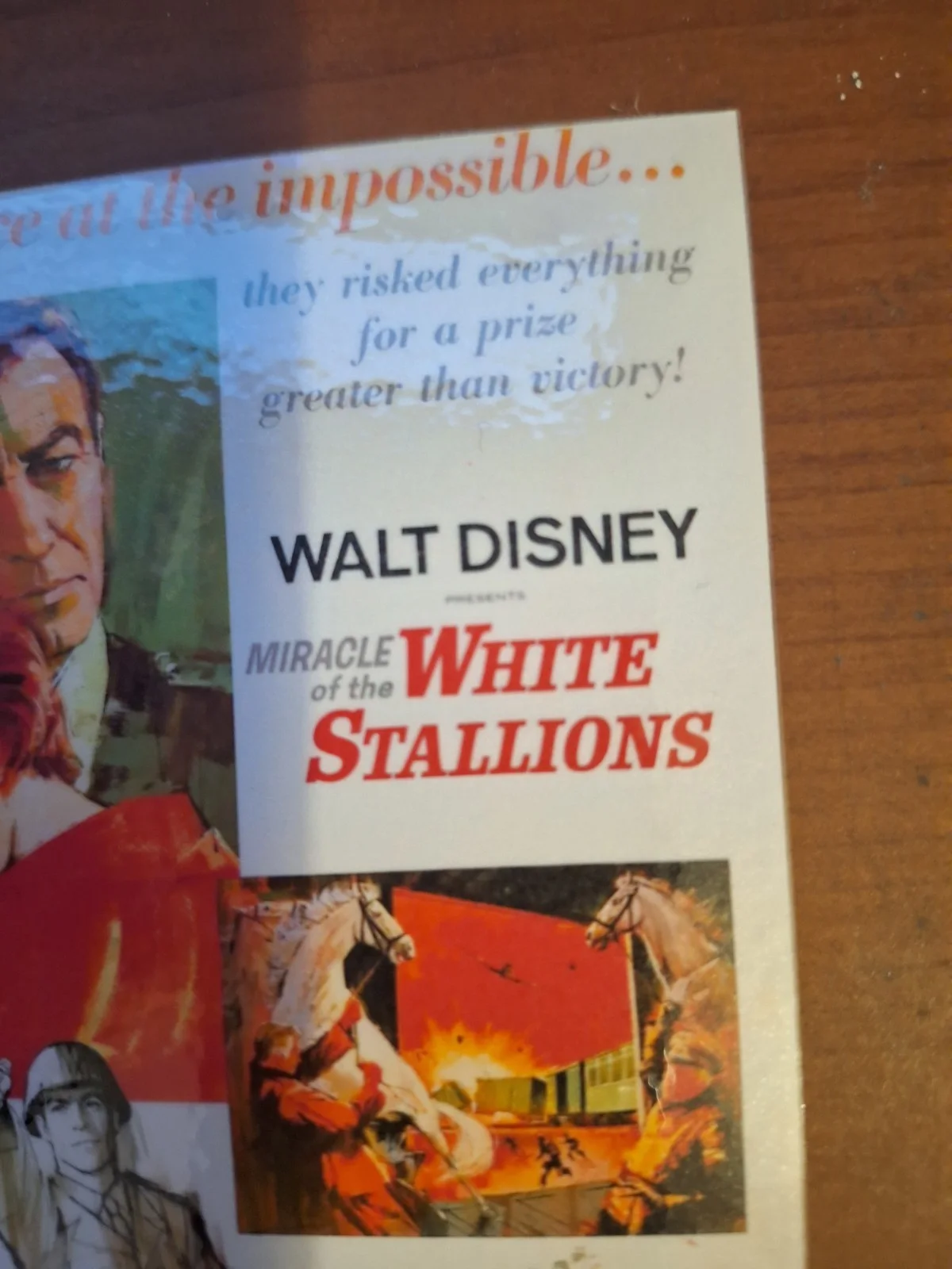 THE MIRACLE OF THE WHITE STALLIONS 1963 Disney Historical Rproduction Postcard, изображение 4