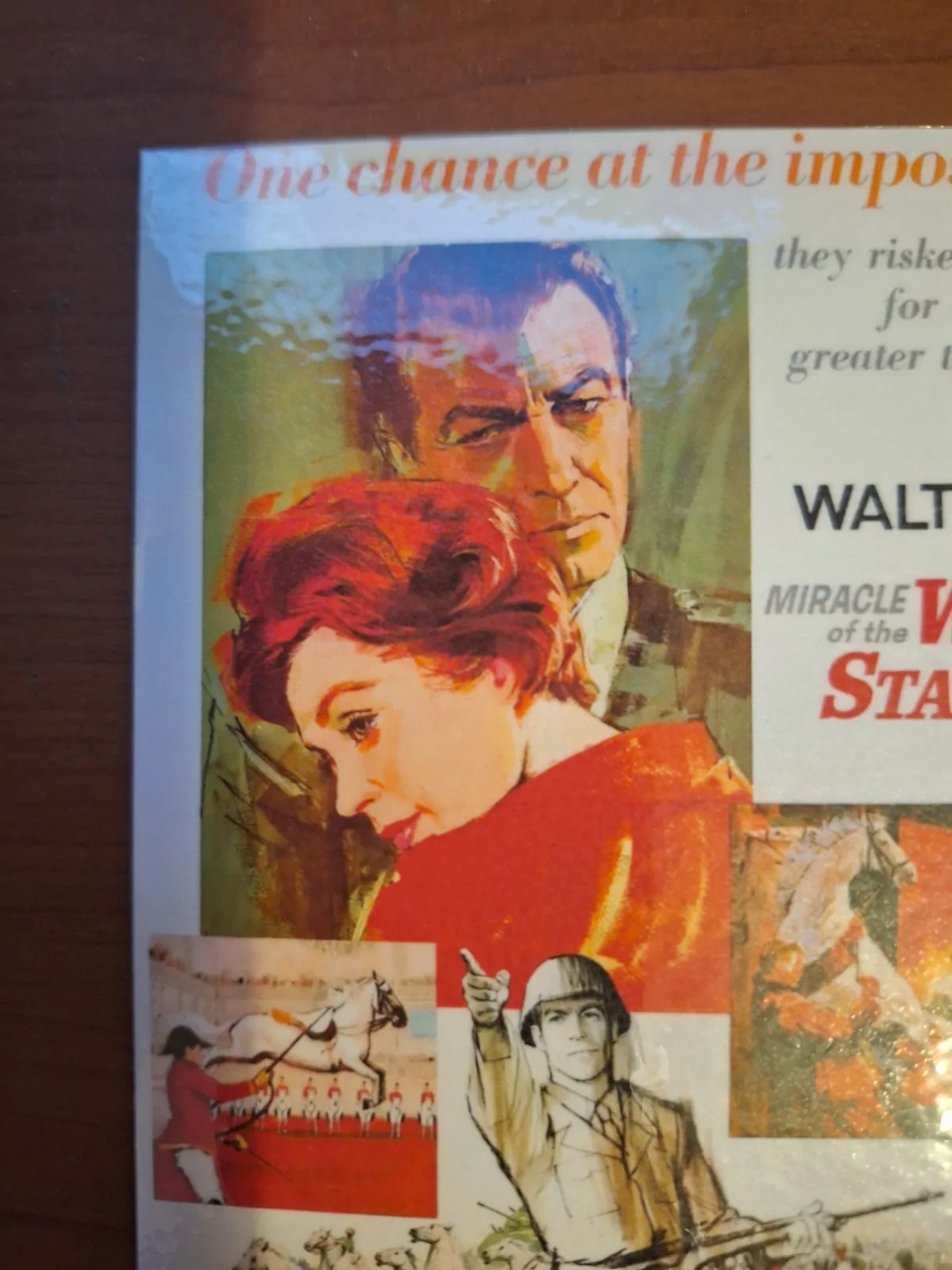 THE MIRACLE OF THE WHITE STALLIONS 1963 Disney Historical Rproduction Postcard, изображение 5