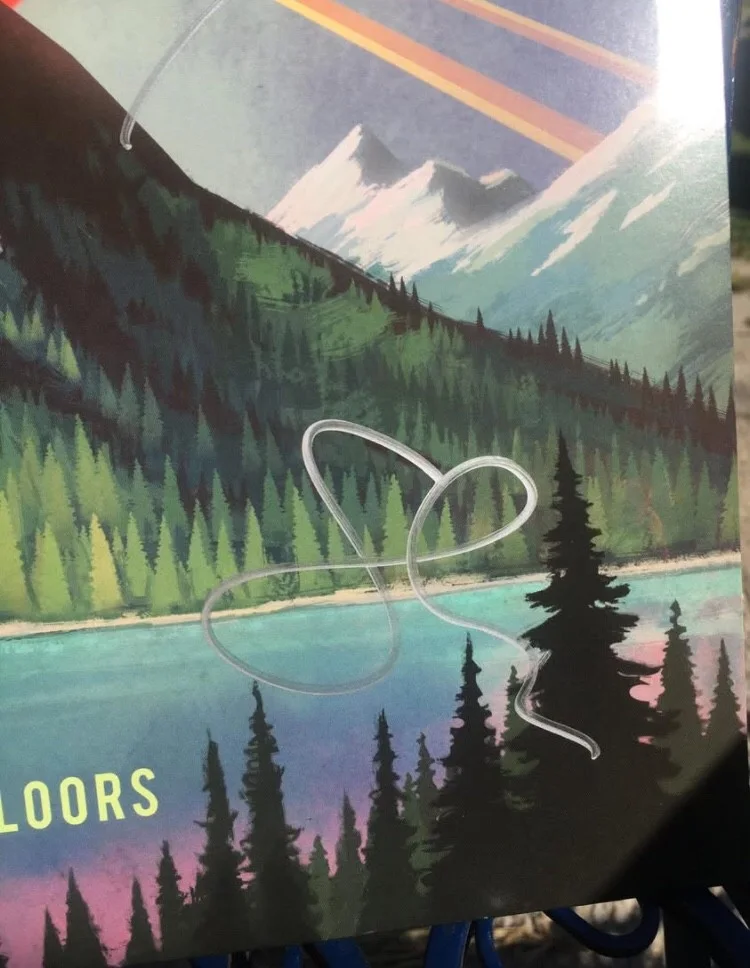 2013 Signed Strumbellas vinyl record, image 2