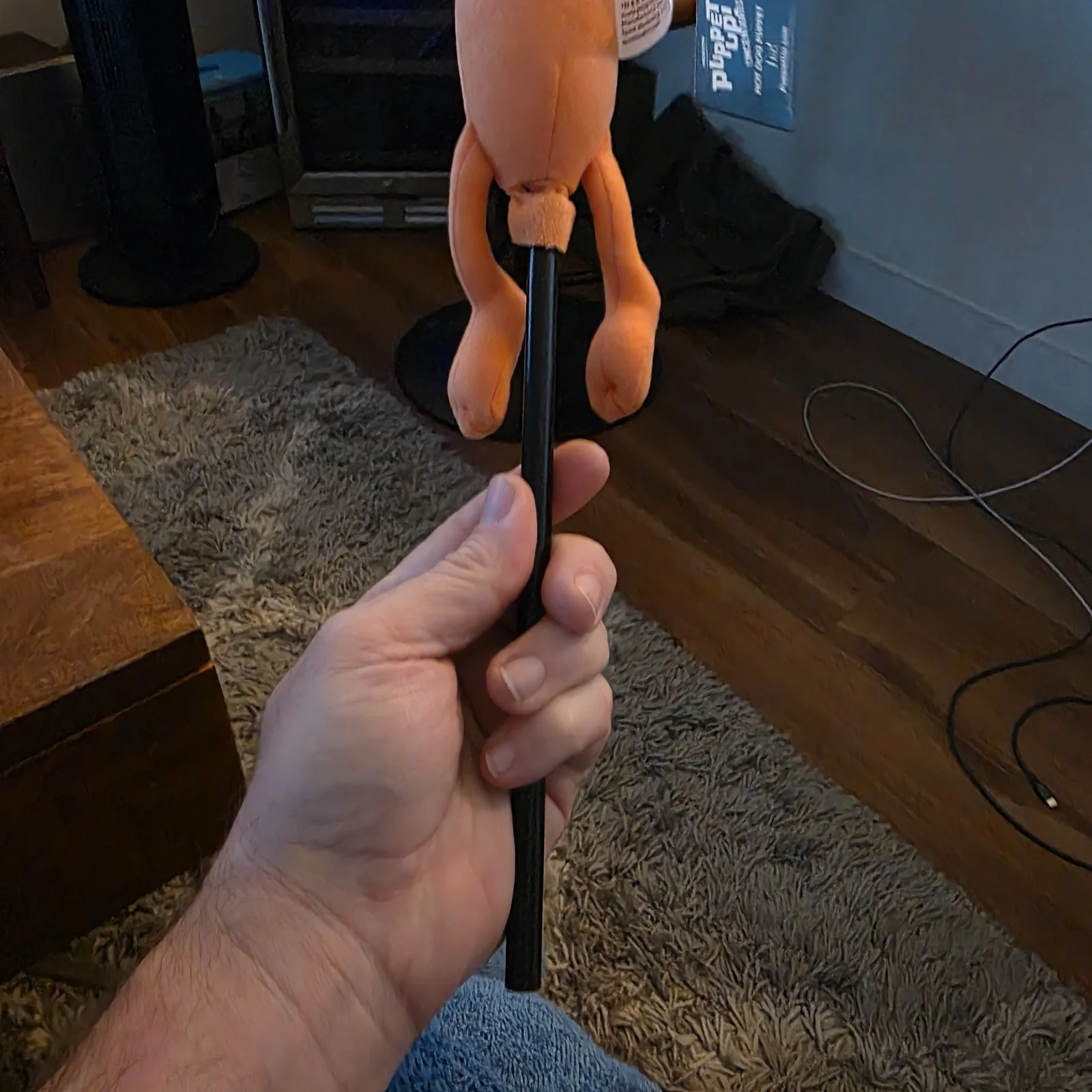 Brian Henson — The Muppets , Hot Dog Puppet , Puppet Up , Autographed Signed By Brian Henson, изображение 5