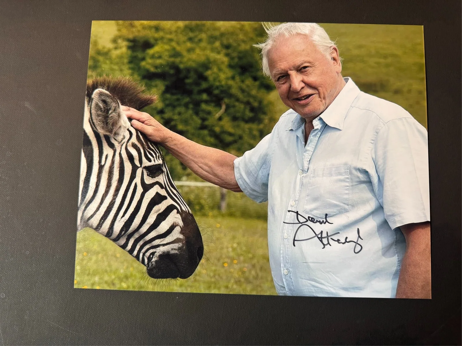 David Attenborough — David Attenborough Rare! signed autographed classic historian BBC 8x10 photo