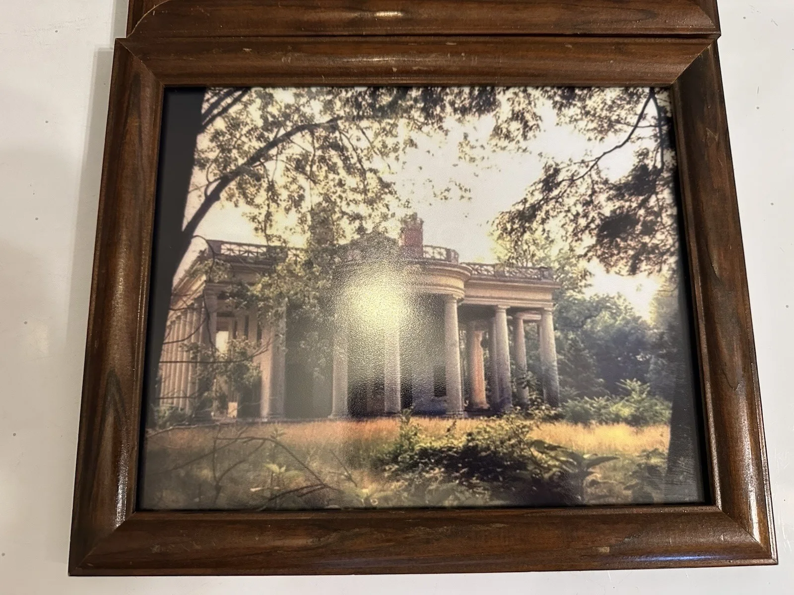 Lara Parker signed 8x10 Photo Dark Angelique Darks Shadows BAS & Old House Photo, изображение 5