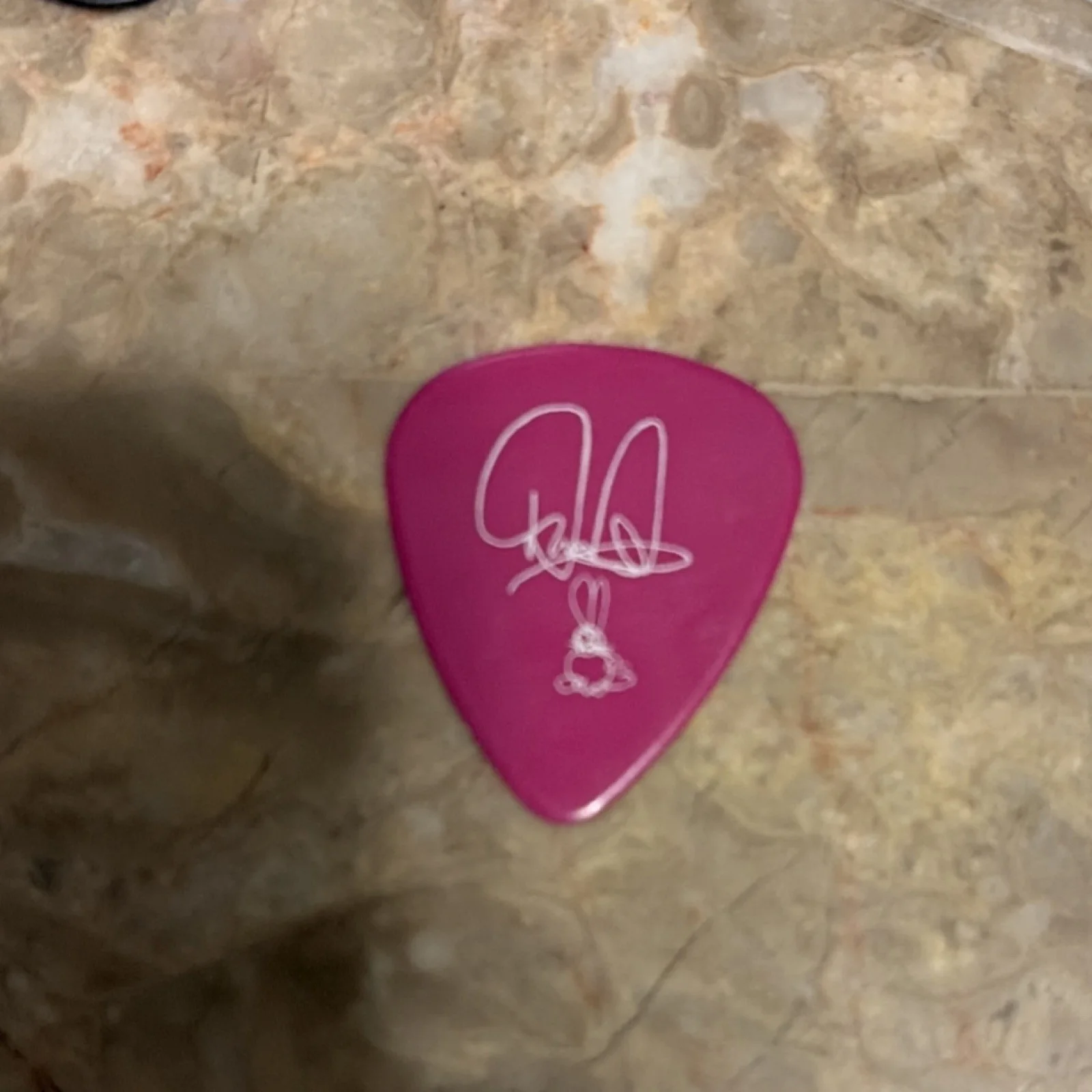 The Donnas Dunlop USA Autographed Guitar Pick Original Signed Music Memorabilia, изображение 2