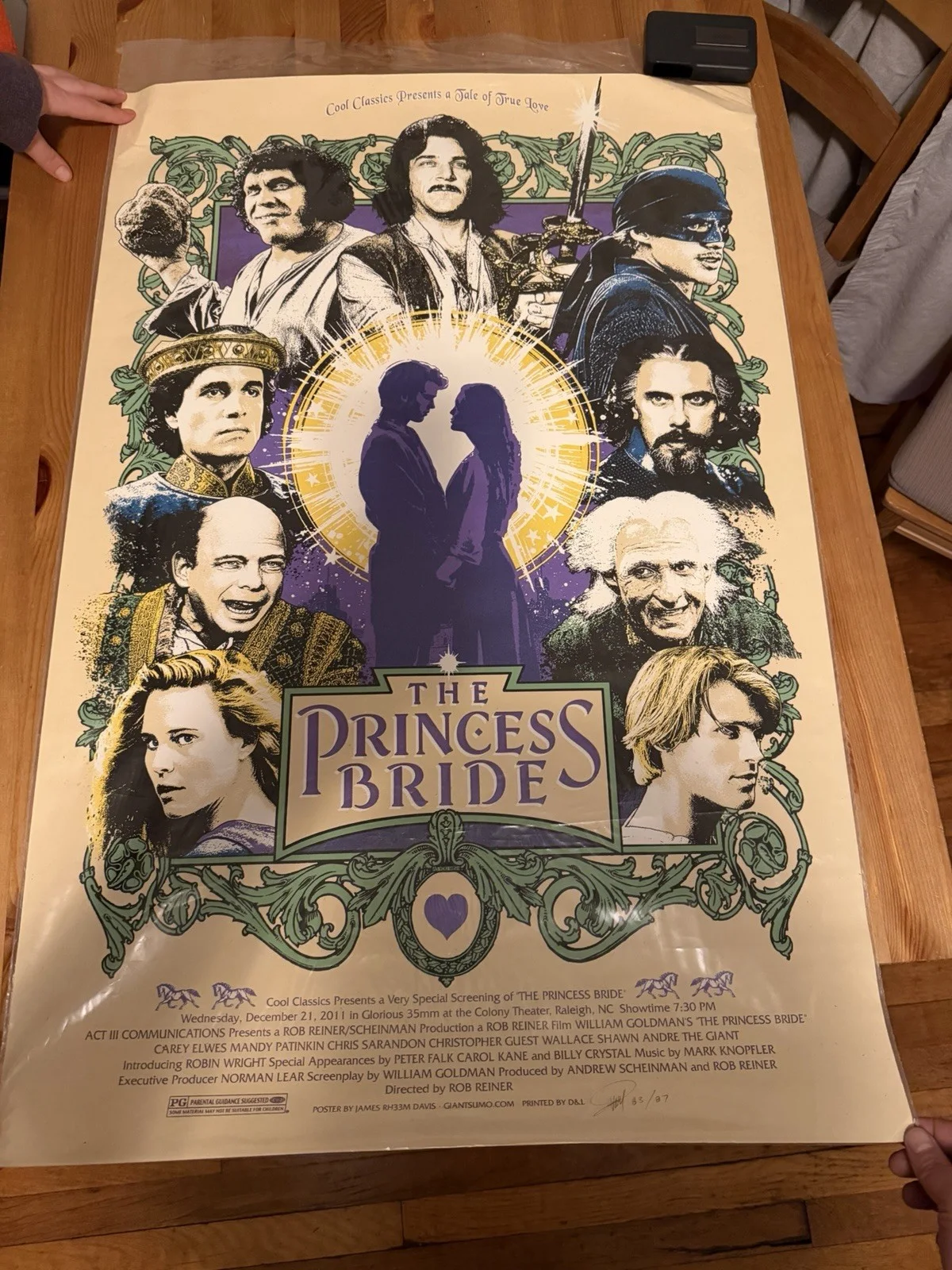 Cary Elwes, Robin Wright, Fred Savage — The Princess Bride Mondo Poster Signed Limited Edition James Rheem Davis 83/87