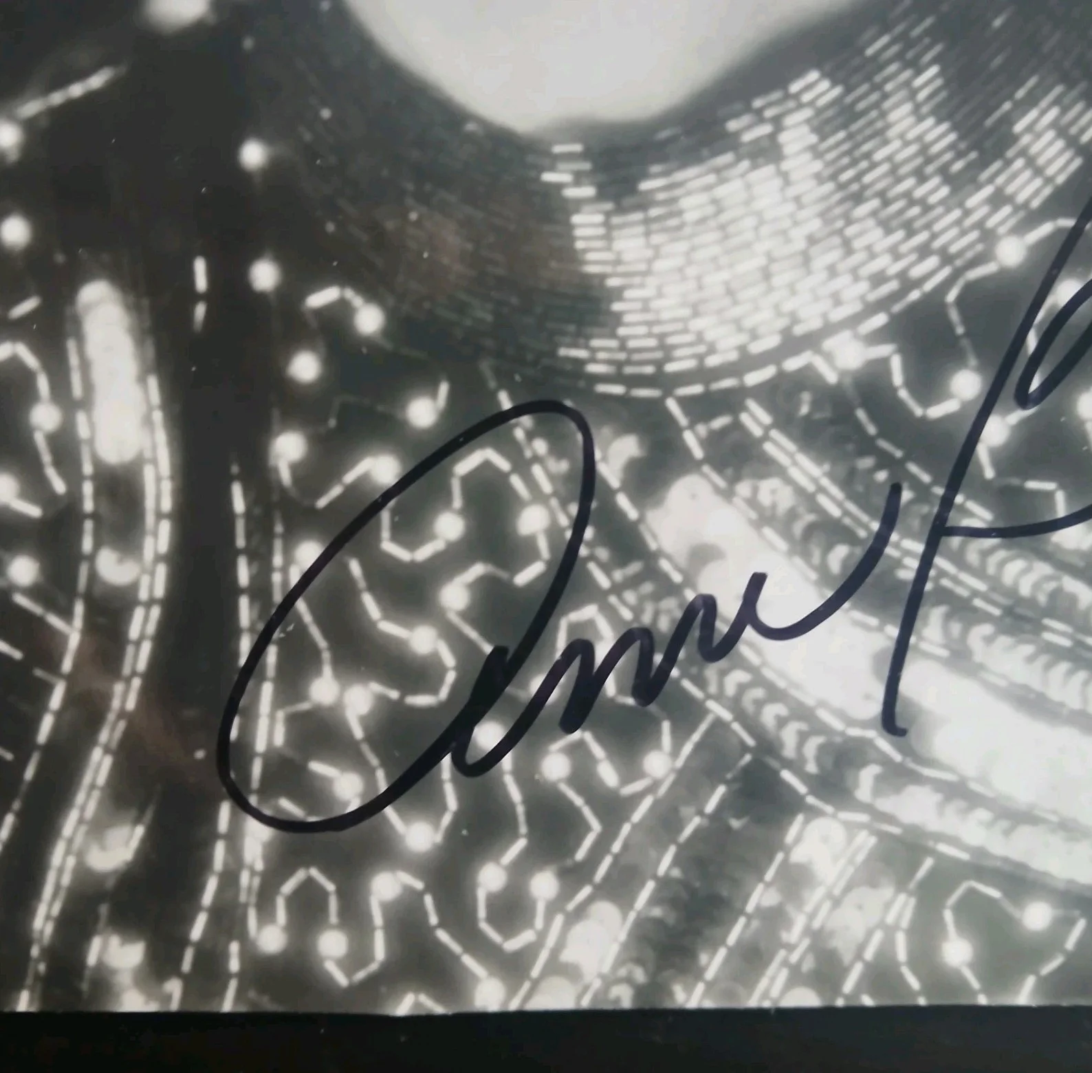 Ann Blyth — Ann Blyth SIGNED 8x9 Photo Mildred Pierce The Great Caruso Actress, изображение 3