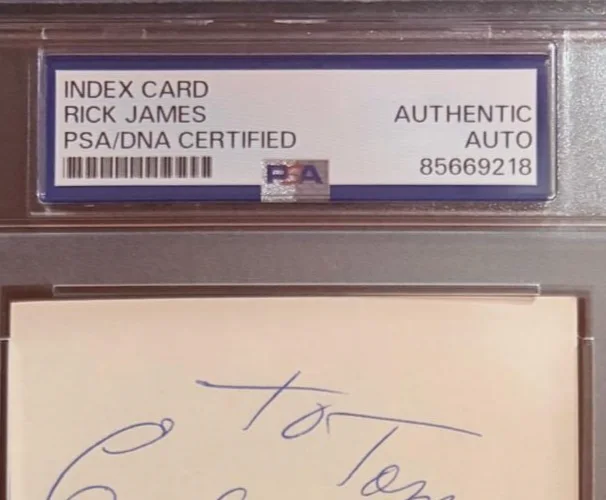 Rick James — RICK JAMES SIGNED INDEX CARD ENCAPSULATED PSA THE MYNAH BIRDS COME GET IT RARE, image 3