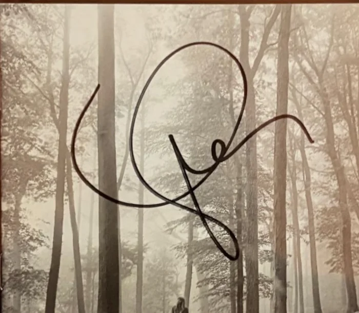 Taylor Swift — TAYLOR SWIFT SIGNED CD COVER ENCAPSULATED SHAKE IT OFF DELICATE RARE PSA HEART C, изображение 2