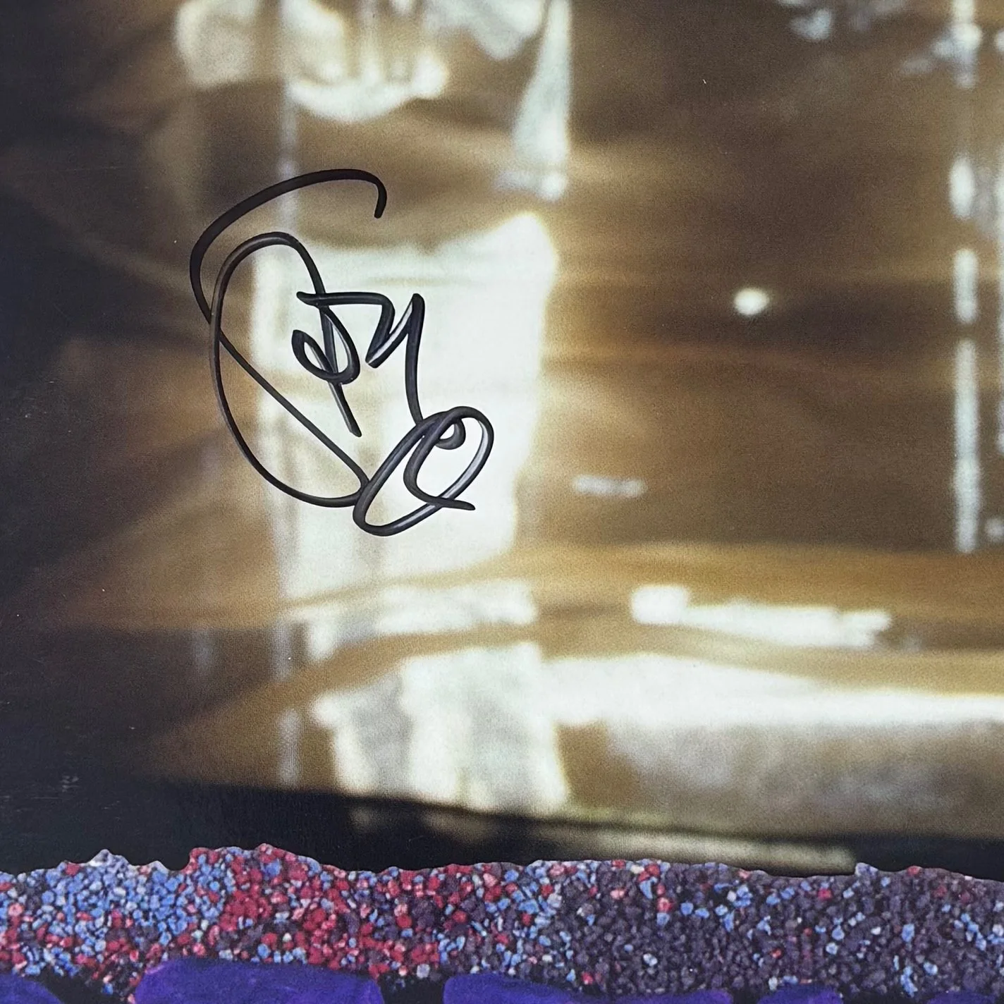 Stone Gossard Signed Temple of the Dog Vinyl Record Album Cover Pearl Jam JSA, изображение 2