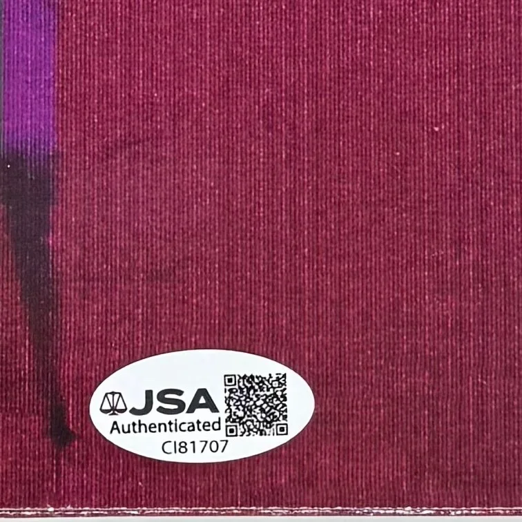 Stone Gossard Signed Autograph Pearl Jam Ten Vinyl Record Album Cover JSA COA, изображение 4