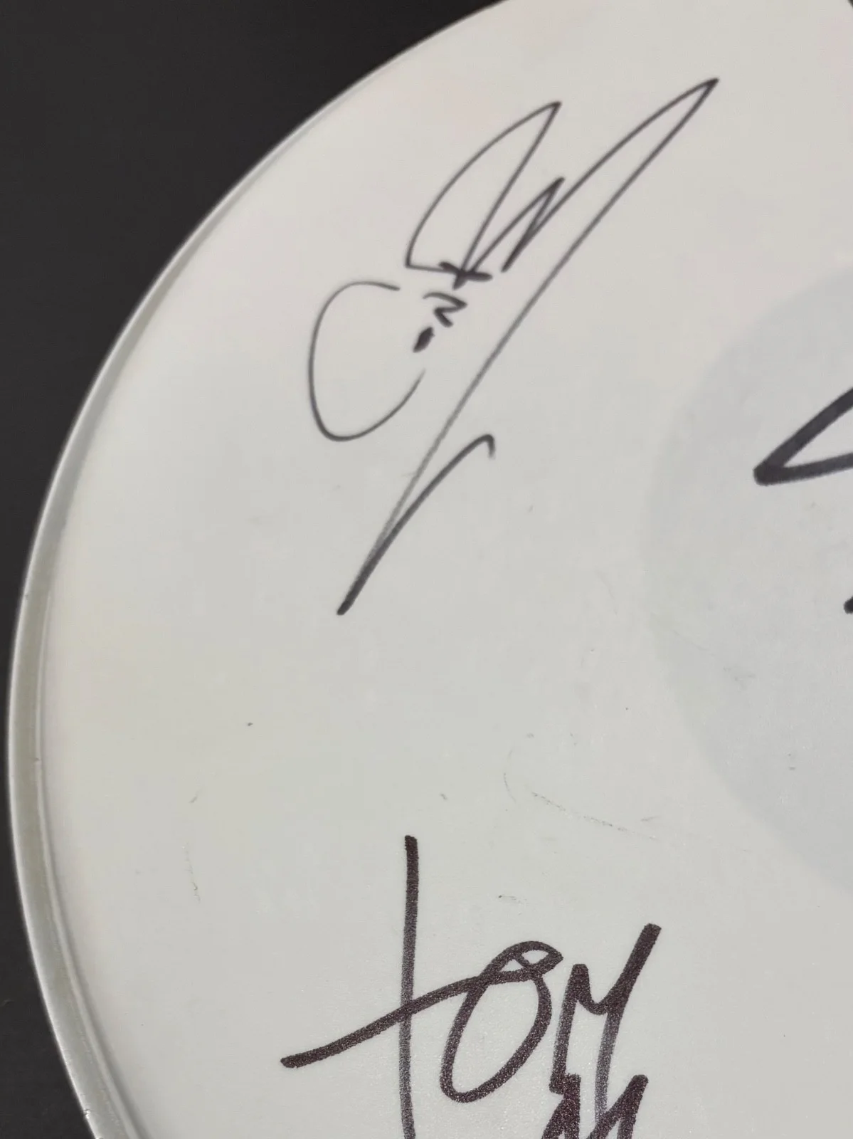 Sum 41 band signed 14” drumhead, image 3