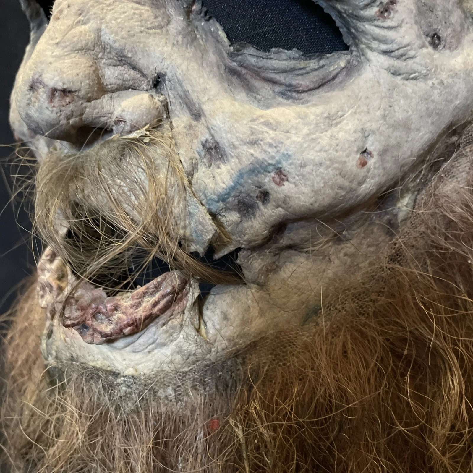 SCREEN-USED Dead Snow 2 (2014) Derek Mears Stavarin Zombie Mask HORROR Film Prop, image 5