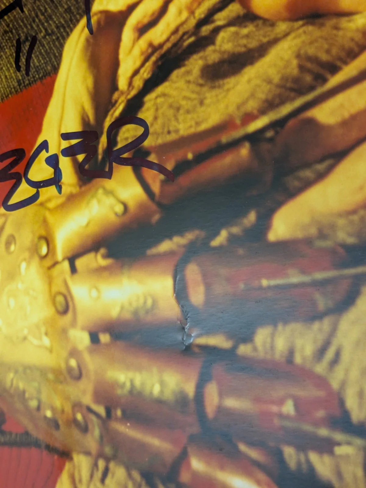 Robert Englund Signed 16x20 Nightmare On Elm Street Freddy Krueger Autograph COA, image 3