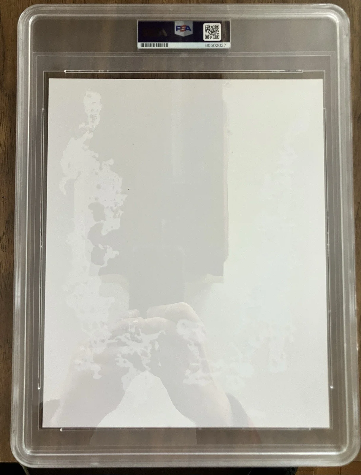 Talking Heads Rare Group Signed 8x10 Promo 1988 SIRE Photo PSA/DNA Encapsulated, изображение 3