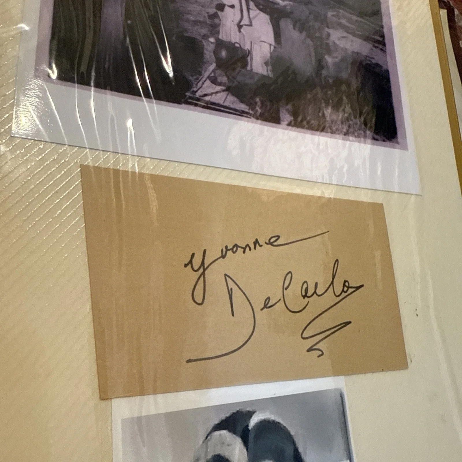 Yvonne De Carlo — Yvonne De Carlo Autograph And Photo No COA The Munsters Western, image 3