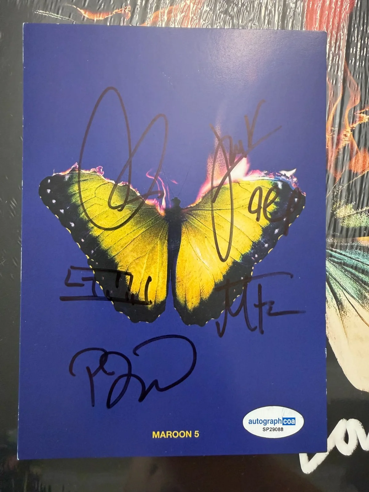Maroon 5 GROUP SIGNED Love Is Like Vinyl Adam Levine Autograph ACOA SP29088, image 2