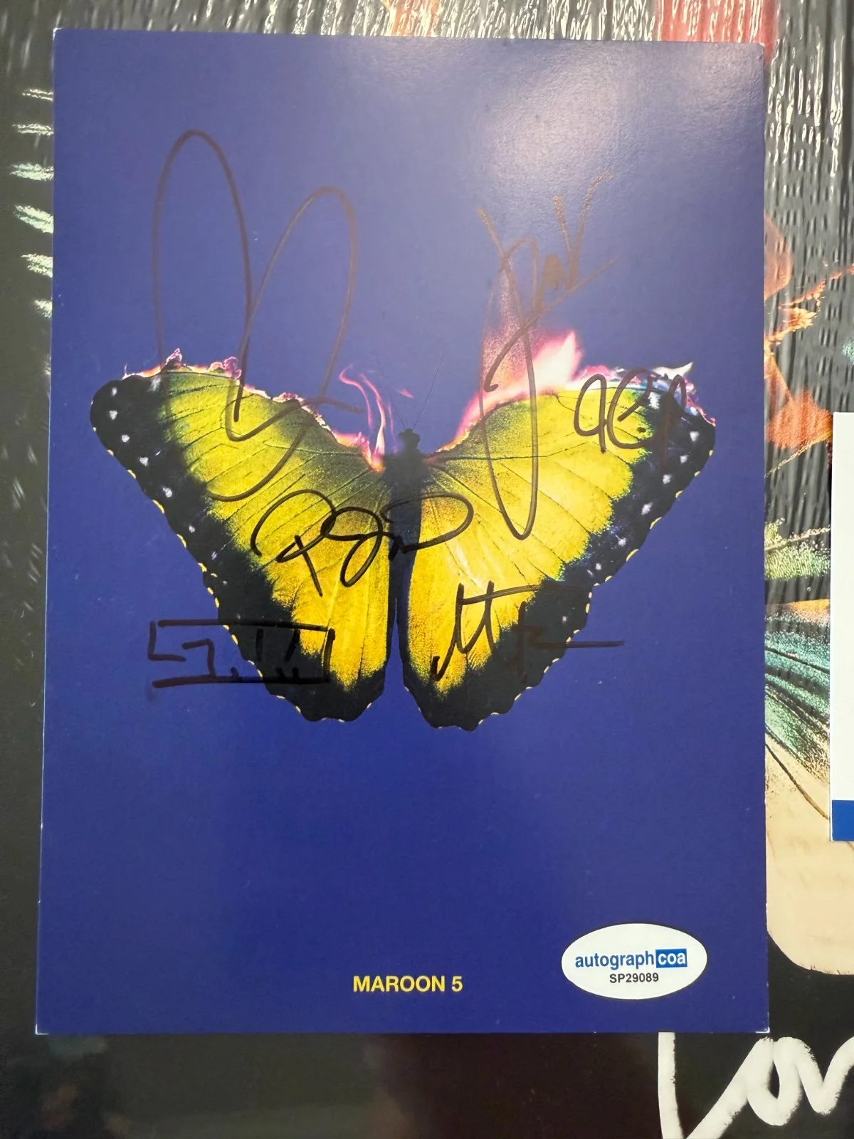 GROUP SIGNED Maroon 5 Love Is Like Vinyl Adam Levine Autograph ACOA SP29089, изображение 2