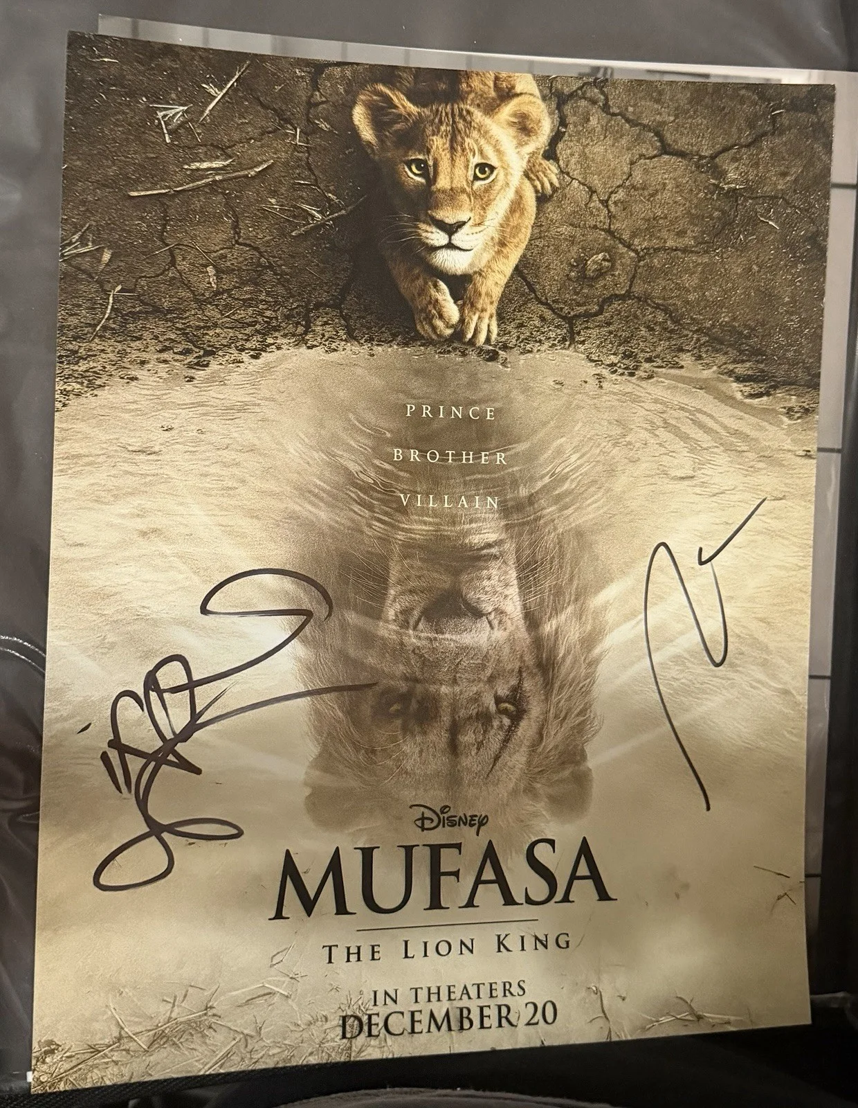 Billy eichner — Aaron Pierre, Billy Eichner Disney Lion King SIGNED 11x14 Photo Autographed, изображение 2