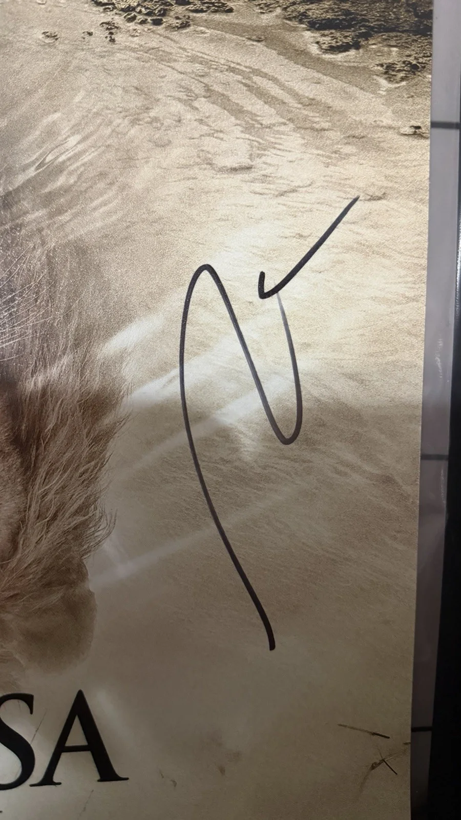 Billy eichner — Aaron Pierre, Billy Eichner Disney Lion King SIGNED 11x14 Photo Autographed, изображение 4