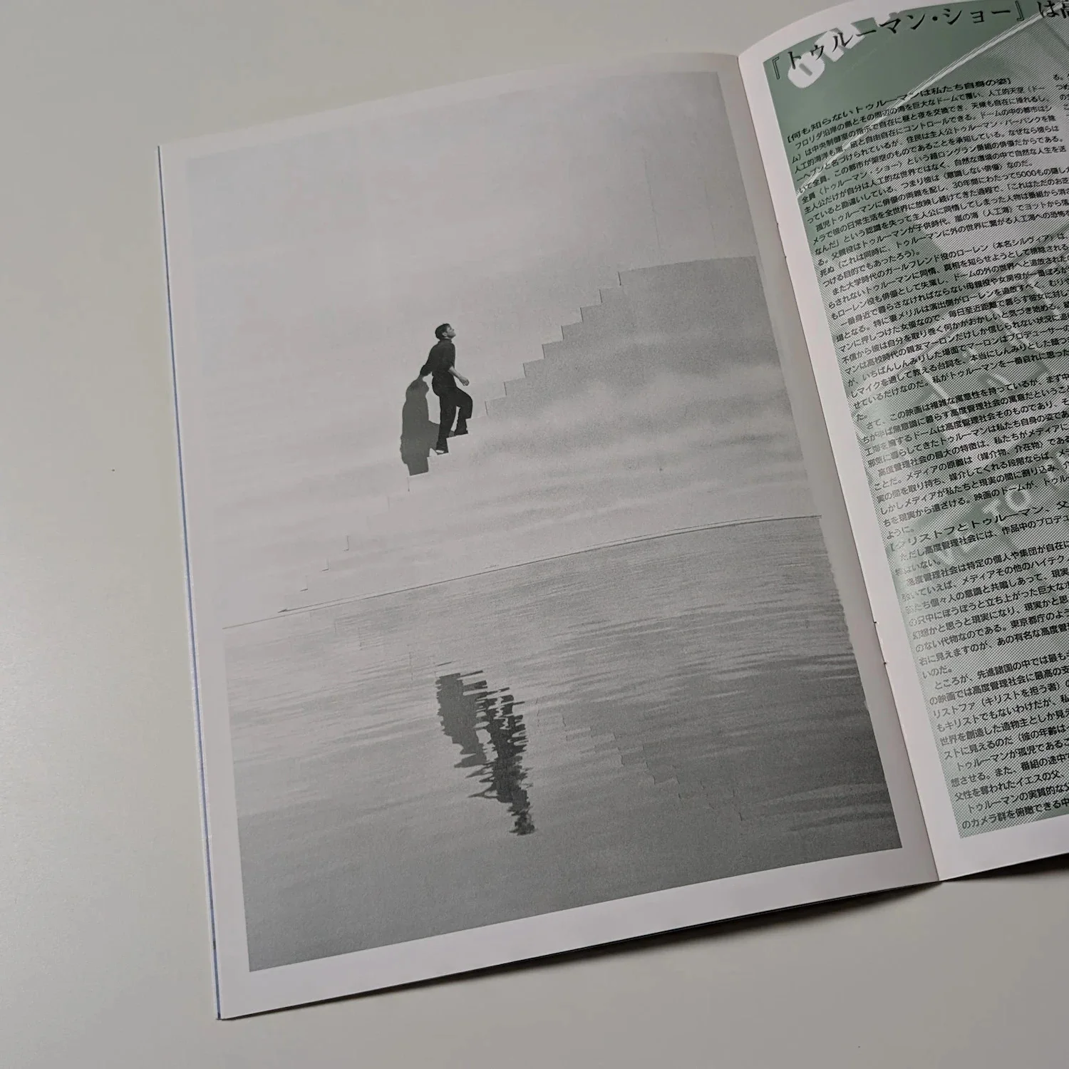 The TRUMAN SHOW (1998) Vintage Japanese Movie Programme! Jim CARREY Laura LINNEY, изображение 4