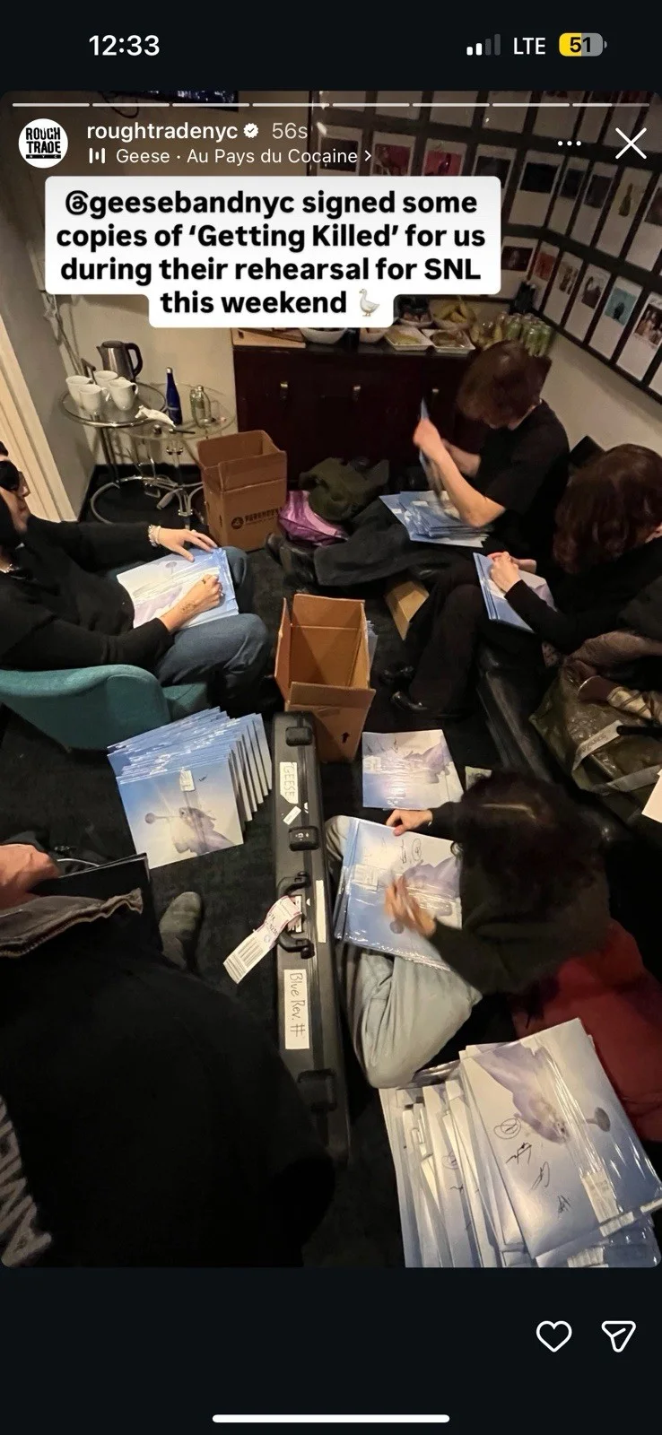 Getting Killed By Geese- Signed Vinyl LP By All Members | Autographed | Proof, image 4