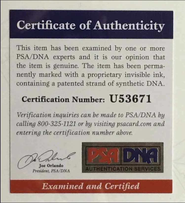 JULIANNE HOUGH HAND SIGNED DWTS LEAF POP CENTURY PSA/DNA PSA DNA CERTIFIED PHOTO, image 2