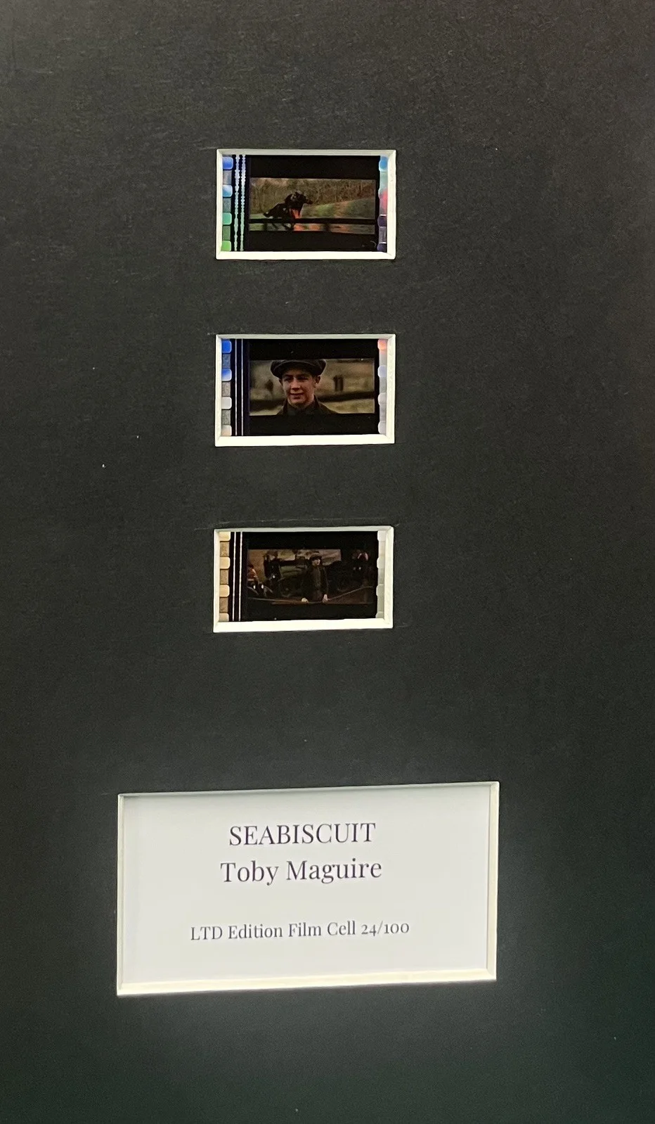 SECRETARIAT. 35mm Film Cell Mounted Display, image 2