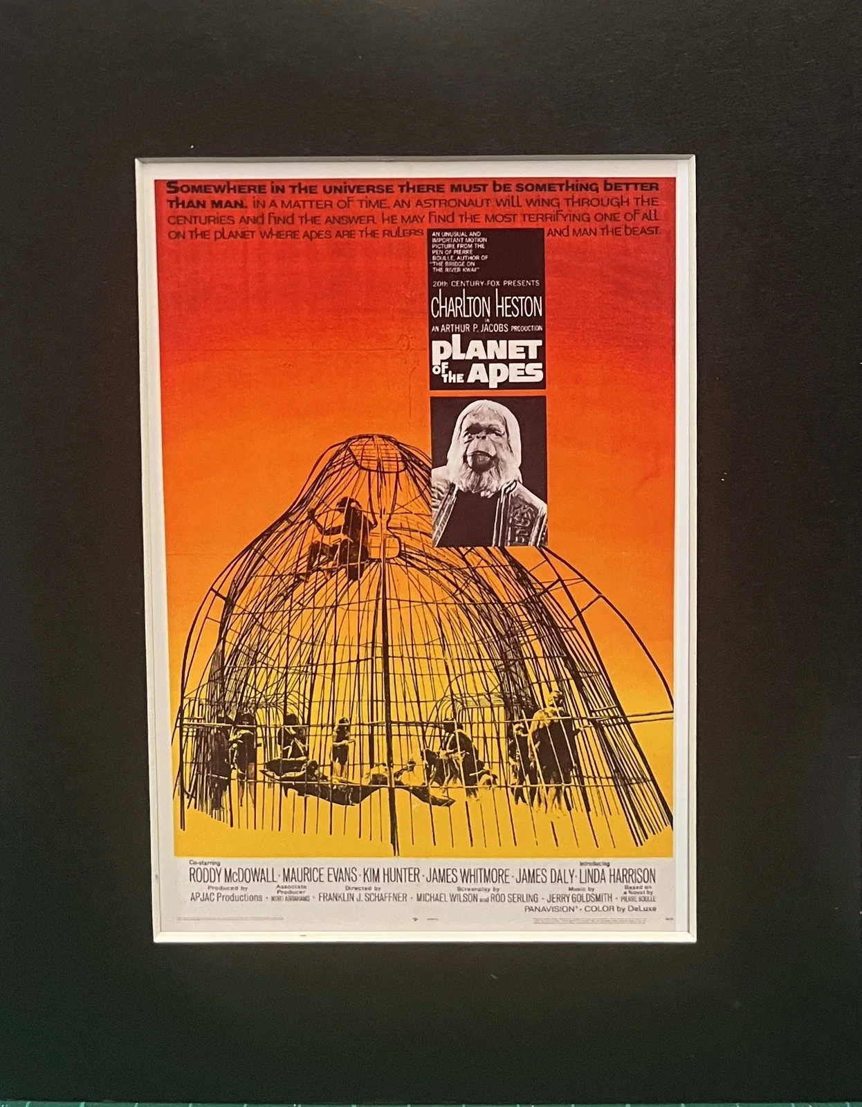 PLANET OF THE APES. CHARLTON HESTON .35mm Film Cell MOUNTED DISPLAY, изображение 3