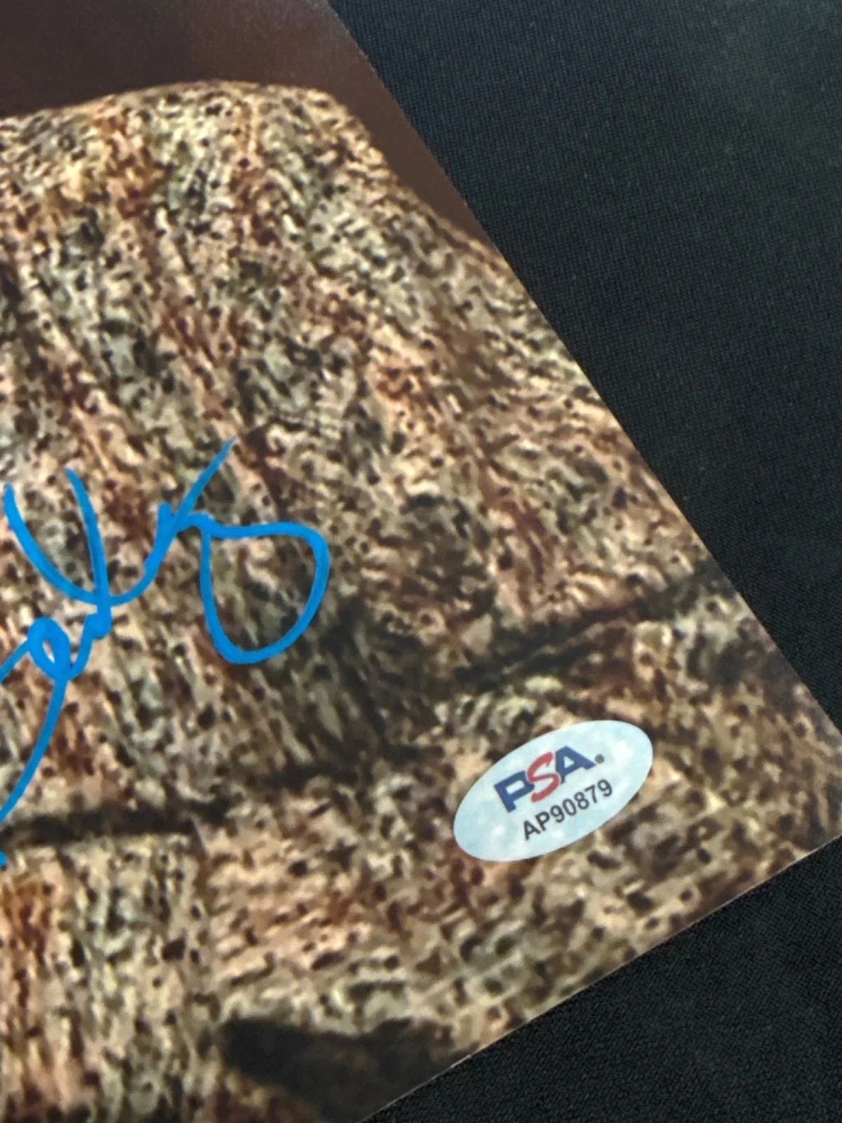 Tim Baltz — Edi Patterson & Tim Baltz Signed 11x14 The Righteous Gemstones PSA AP90879, изображение 2