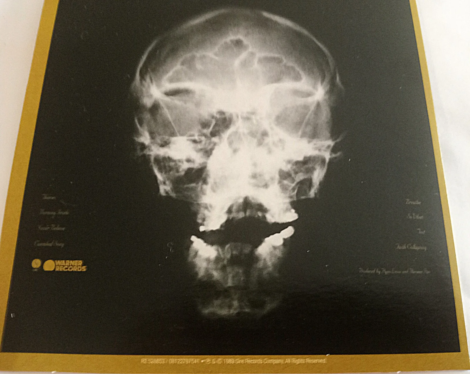 Ministry The Mind is a Terrible Thing to Taste signed cardboard sleeve edition, image 4