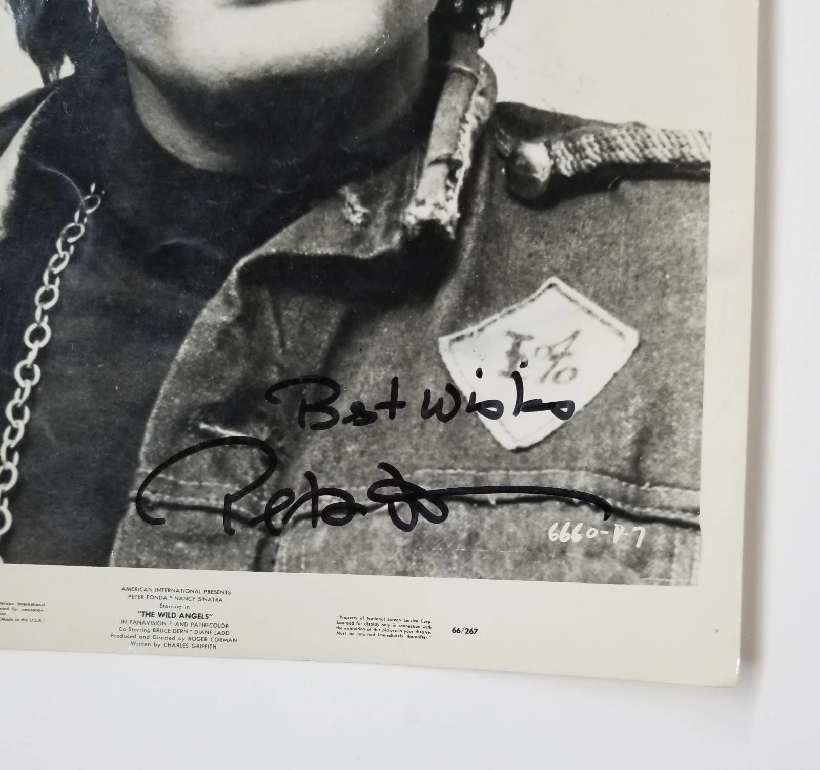 Peter Fonda — Peter Fonda SIGNED 1966 Wild Angels Promo Photo JSA COA Autographed Easy Rider, image 3