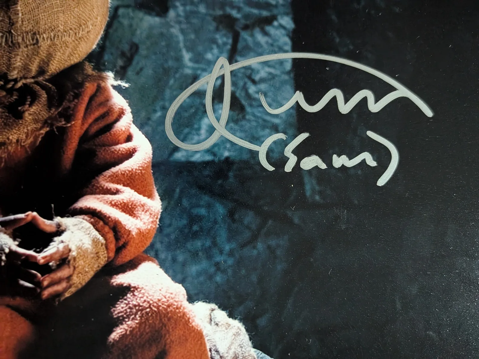 Quinn LORD Signed 8x10 PHOTO Sam Trick R Treat Autograph BAS COA A, image 2