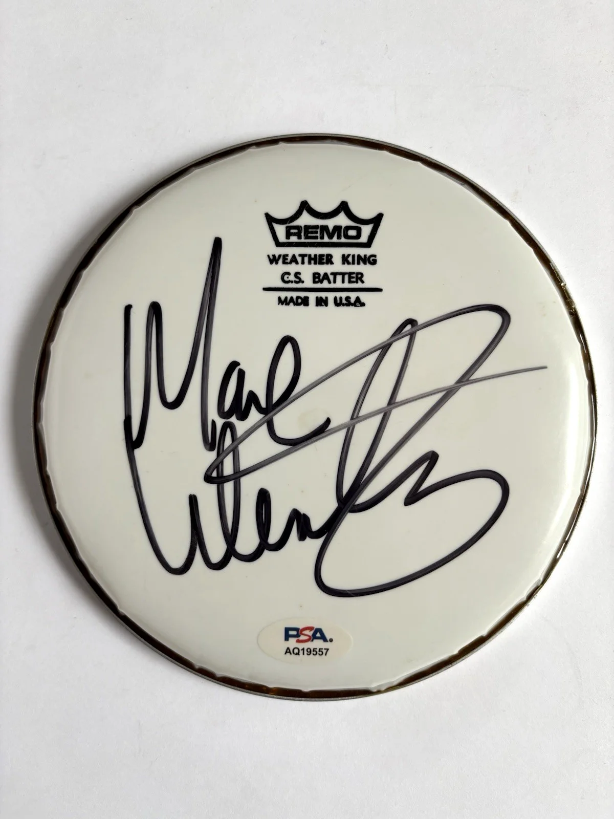 MAX WEINBERG Signed New REMO 6” DRUMHEAD E Street Band PSA DNA COA Springsteen, изображение 2
